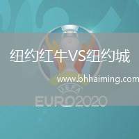 紐約紅牛VS紐約城