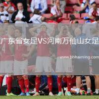廣東省女足VS河南萬(wàn)仙山女足