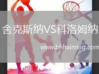 舍克斯納VS科洛姆納