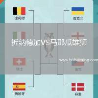 拆納德加VS馬那瓜雄獅