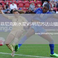 菲尼克斯水星VS明尼蘇達(dá)山貓