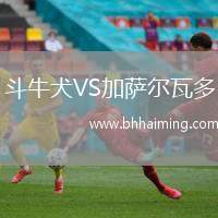 斗牛犬VS加薩爾瓦多