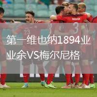 第一維也納1894業(yè)余VS梅爾尼格