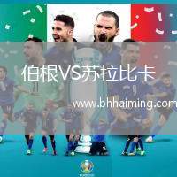 伯根VS蘇拉比卡