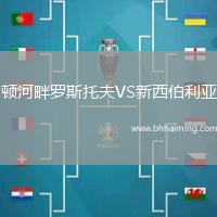 頓河畔羅斯托夫VS新西伯利亞