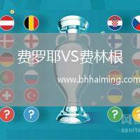 費(fèi)羅耶VS費(fèi)林根