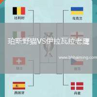 珀斯野貓VS伊拉瓦拉老鷹