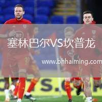 塞林巴爾VS坎普龍