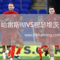 哈雷斯徹VS穆瑟維茨