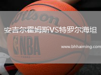 安吉爾霍姆斯VS特羅爾海坦