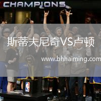 斯蒂夫尼奇VS盧頓