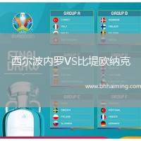 西爾波內(nèi)羅VS比堤歐納克