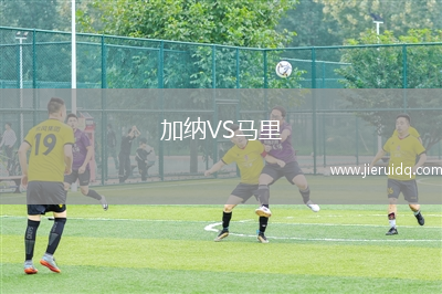 埃基巴斯圖茲VSSD家族