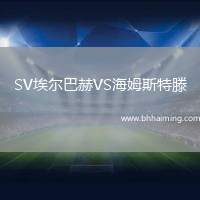 SV埃爾巴赫VS海姆斯特滕