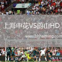 上海申花VS蔚山HD
