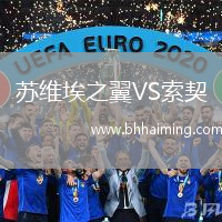 蘇維埃之翼VS索契