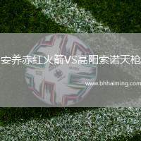 安養(yǎng)赤紅火箭VS高陽索諾天槍