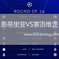 施蒂里亞VS塞洛維茨