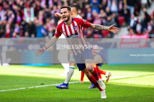 弗里德克VS維特科維斯