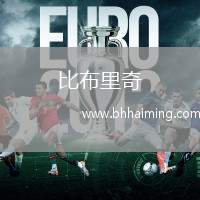 比布里奇(U19)VS霍芬海姆U19