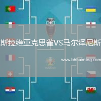 斯拉維亞克思雀VS馬爾澤尼斯