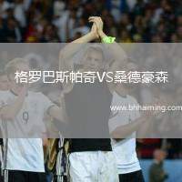 格羅巴斯帕奇VS桑德豪森