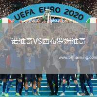 諾維奇VS西布羅姆維奇