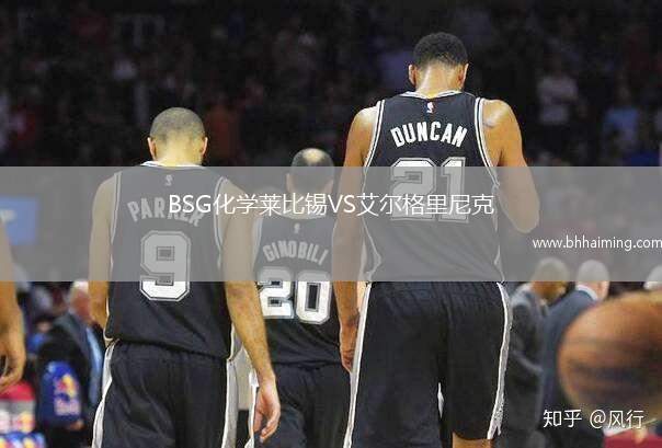 BSG化學萊比錫VS艾爾格里尼克