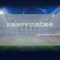 比勒瑞卡VS漢德尼斯佛