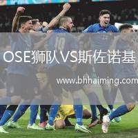 OSE獅隊(duì)VS斯佐諾基