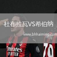 杜布拉瓦VS希伯納