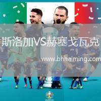 斯洛加VS赫塞戈瓦克