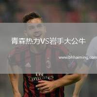 青森熱力VS巖手大公牛