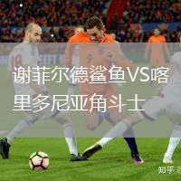 謝菲爾德鯊魚VS喀里多尼亞角斗士