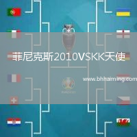 菲尼克斯2010VSKK天使