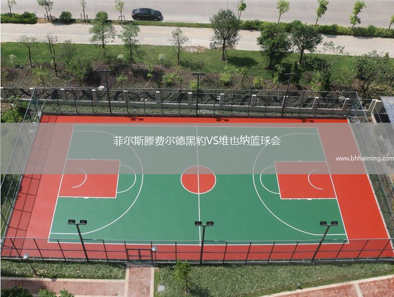 菲爾斯滕費爾德黑豹VS維也納籃球會