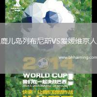 鹿兒島列布尼斯VS愛媛維京人