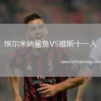 埃爾米納鯊魚VS維斯十一人