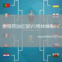 查塔努加紅狼VS格林維勒FC