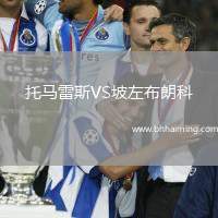 托馬雷斯VS坡左布朗科