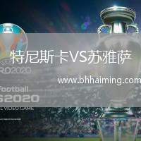 特尼斯卡VS蘇雅薩