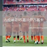 古拉瑞奇VS嘉沃伊萬(wàn)基卡