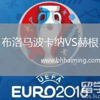 布洛馬波卡納VS赫根