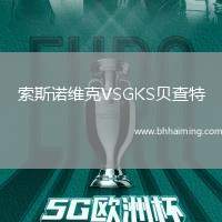 索斯諾維克VSGKS貝查特