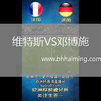 維特斯VS鄧博施