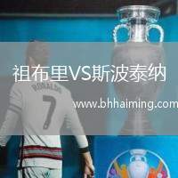 祖布里VS斯波泰納