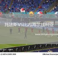 托法斯VS比內(nèi)海爾茲利亞