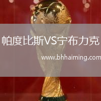 帕度比斯VS寧布力克