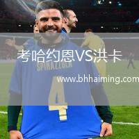 考哈約恩VS洪卡