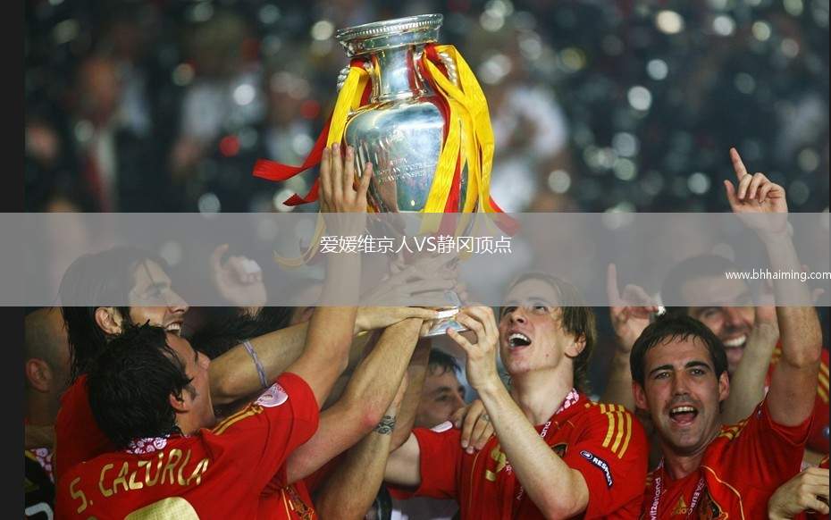 愛(ài)媛維京人VS靜岡頂點(diǎn)